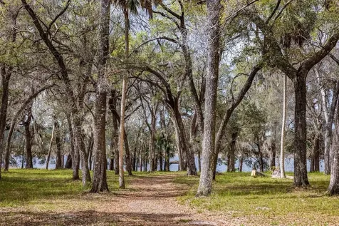 Forest 02 Road Umatilla FL 32784