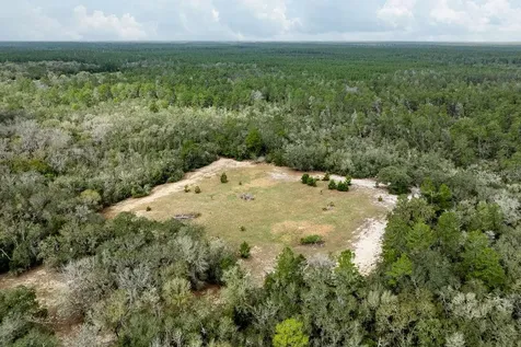 Forest 02 Road Umatilla FL 32784