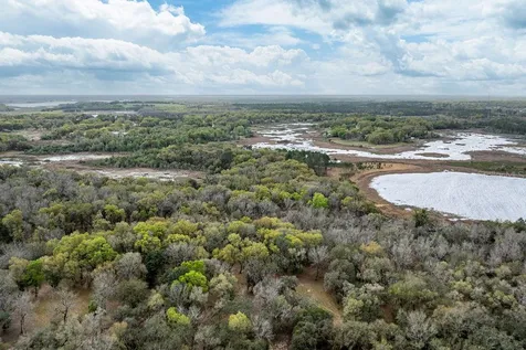 Forest 02 Road Umatilla FL 32784