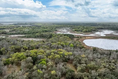 Forest 02 Road Umatilla FL 32784