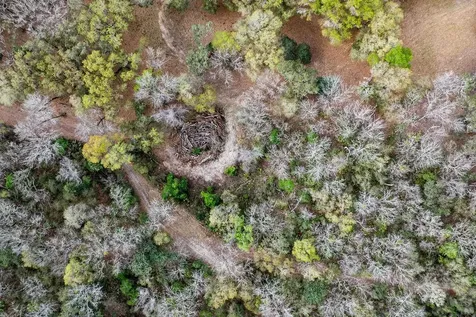 Forest 02 Road Umatilla FL 32784