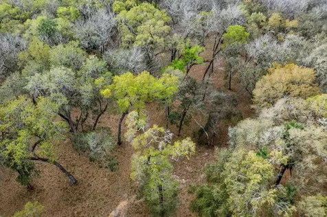 Forest 02 Road Umatilla FL 32784