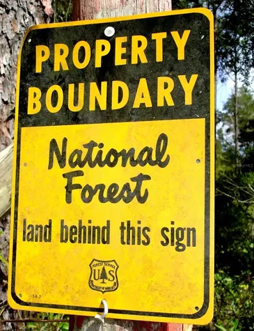 Forest 02 Road Umatilla FL 32784