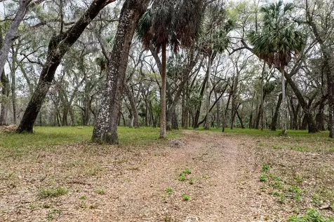 Forest 02 Road Umatilla FL 32784