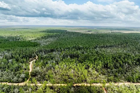 Forest 02 Road Umatilla FL 32784