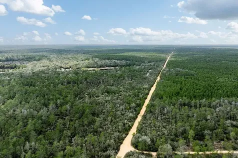 Forest 02 Road Umatilla FL 32784