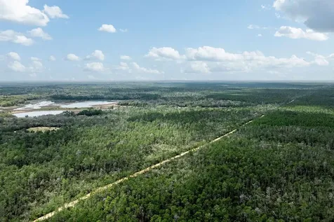 Forest 02 Road Umatilla FL 32784