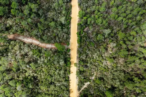 Forest 02 Road Umatilla FL 32784