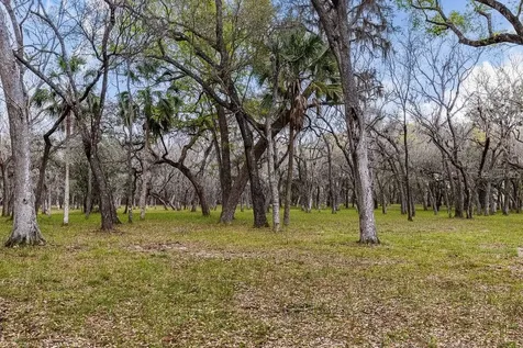 Forest 02 Road Umatilla FL 32784