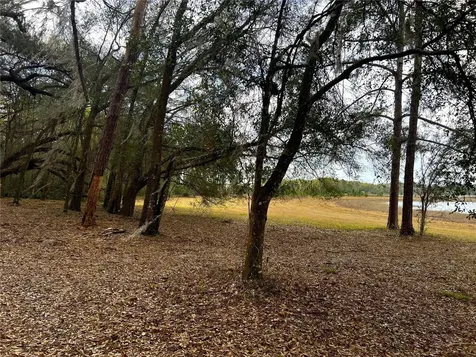 Forest 02 Road Umatilla FL 32784