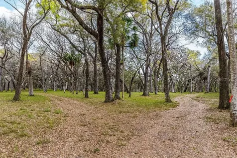 Forest 02 Road Umatilla FL 32784