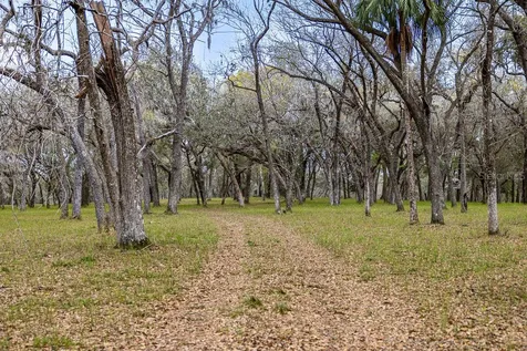 Forest 02 Road Umatilla FL 32784