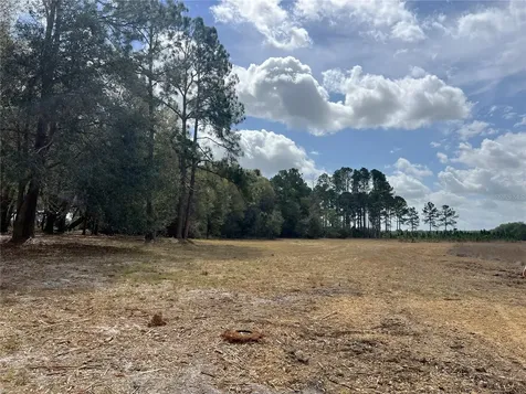 Forest 02 Road Umatilla FL 32784