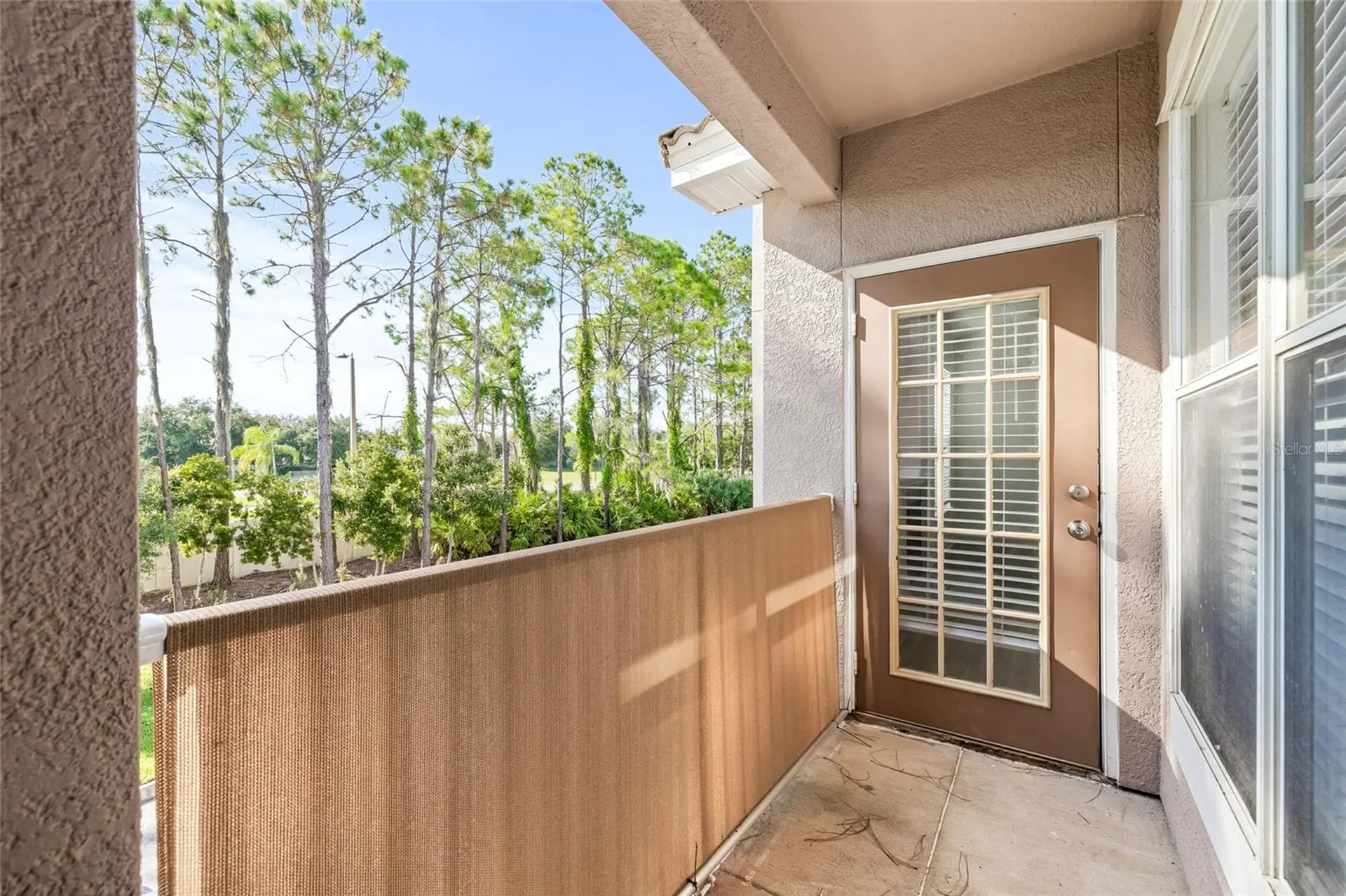 18006 Villa Creek Drive Tampa FL 33647
