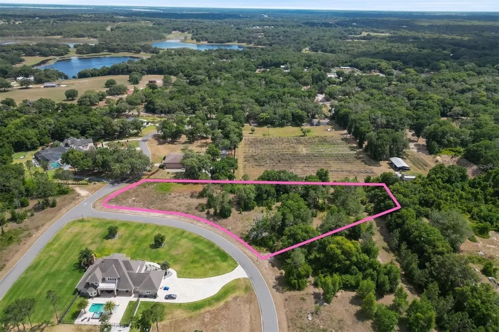 000 Darlington Avenue Lady Lake FL 32159