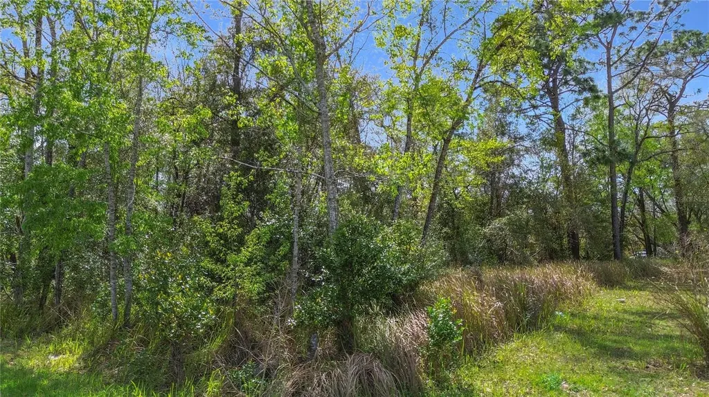 199 Water Track Ocala FL 34472