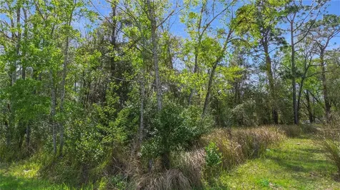 199 Water Track Ocala FL 34472