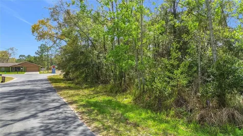 199 Water Track Ocala FL 34472