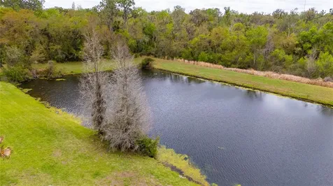 6111 Heroncrest Court Lithia FL 33547