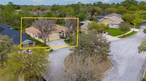 6111 Heroncrest Court Lithia FL 33547