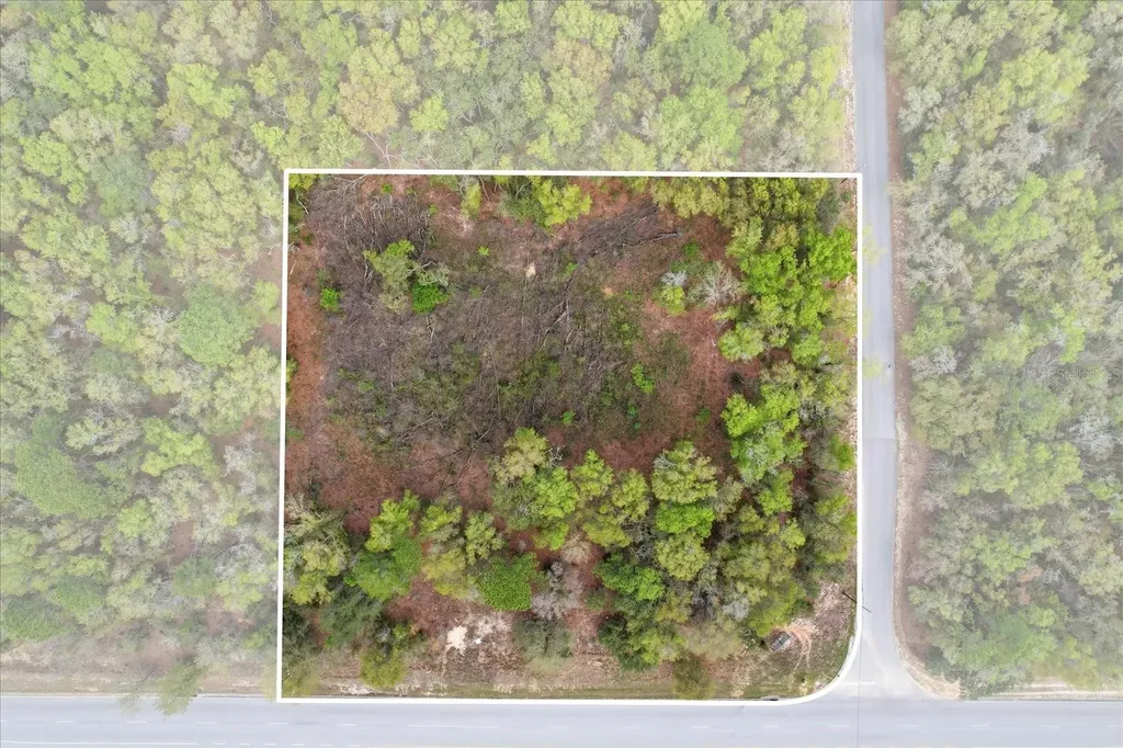 161 W Norvell Bryant Highway Hernando FL 34442