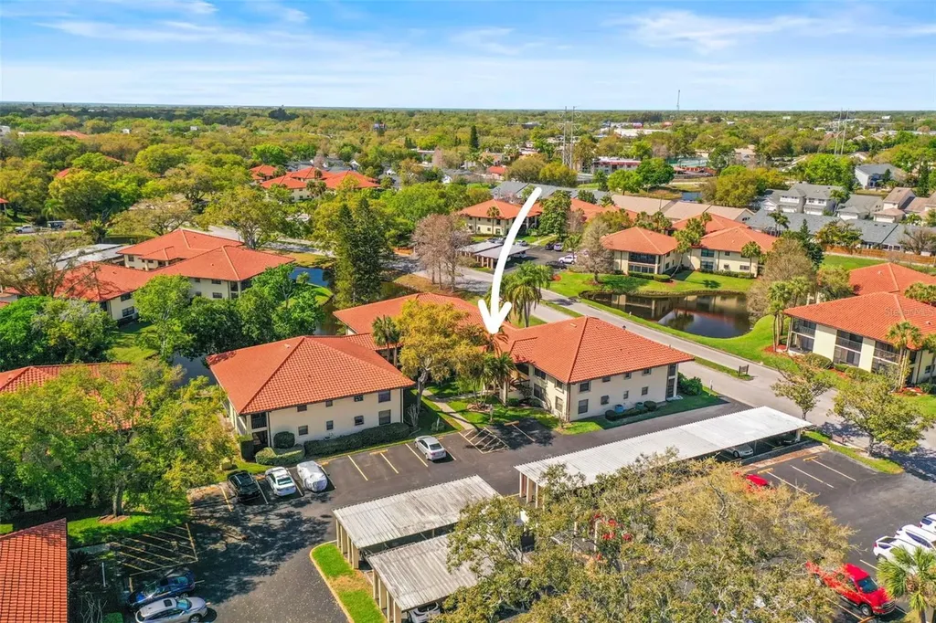 2113 Hammock Pine Boulevard Clearwater FL 33761