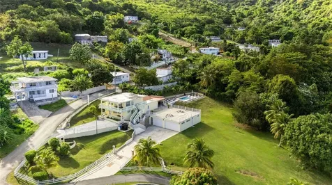 Carr 3 Camino Cooperativo Patillas PR 00723