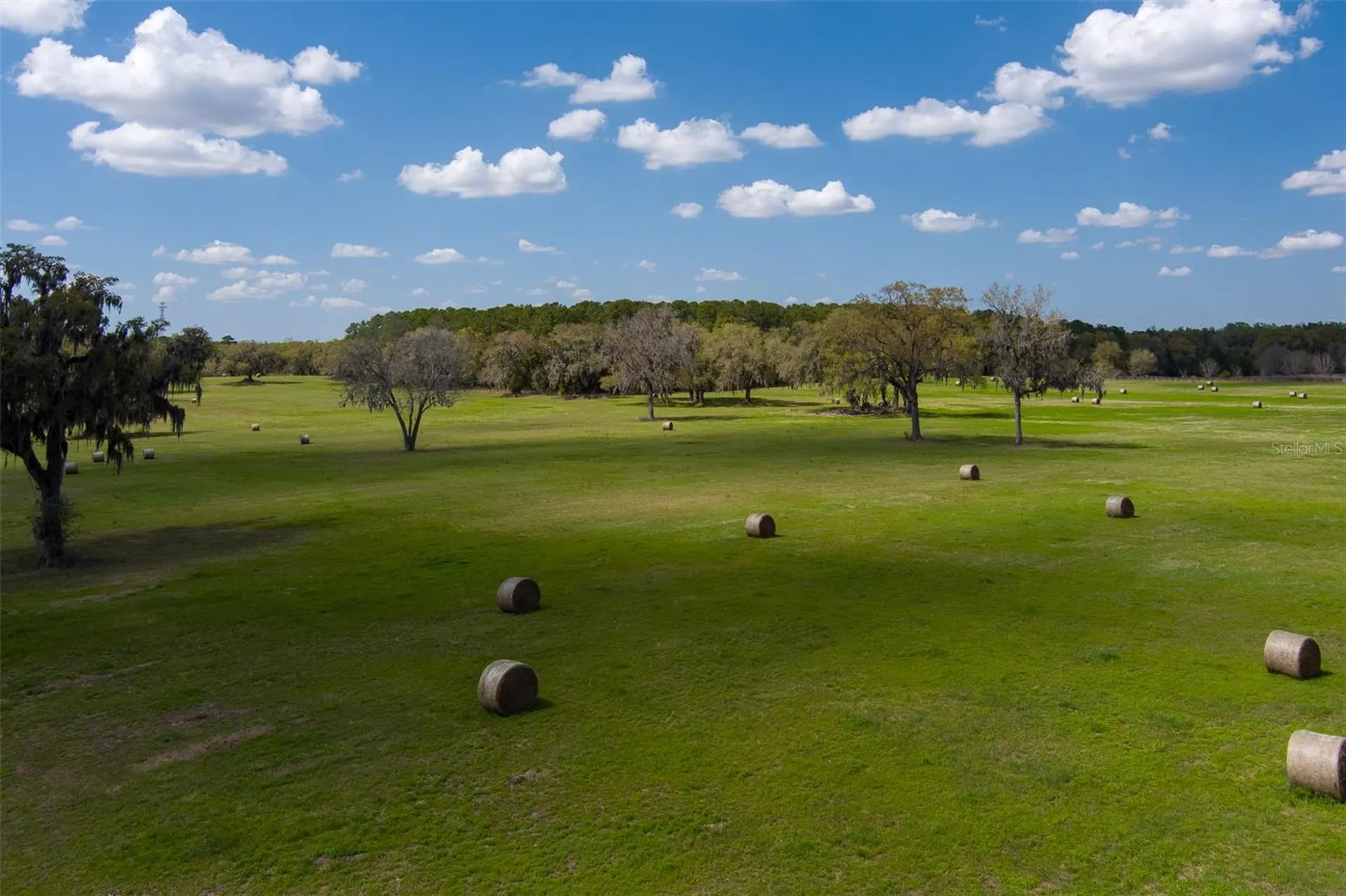 1100 SW 110th Avenue Ocala FL 34481