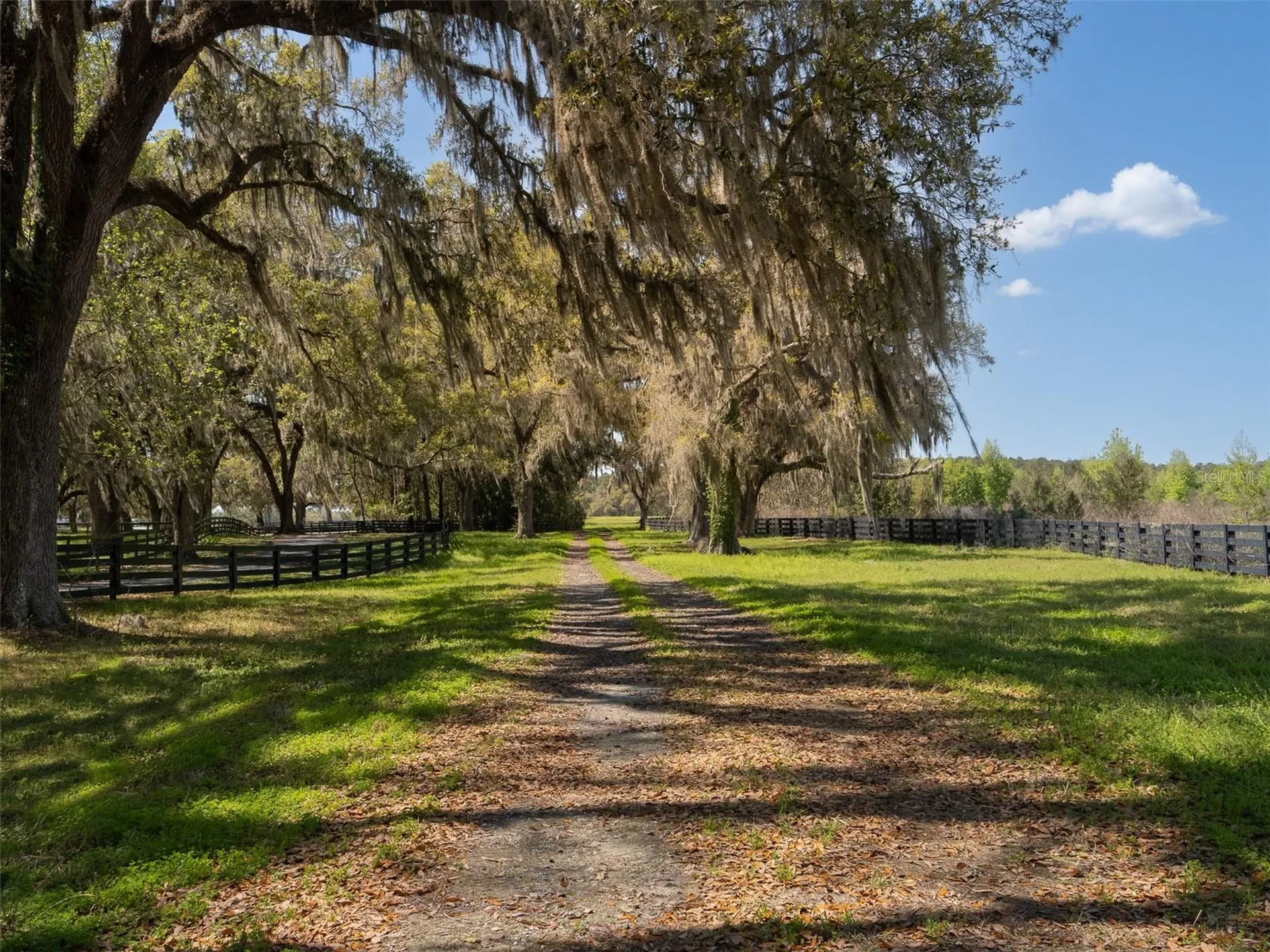 1100 SW 110th Avenue Ocala FL 34481
