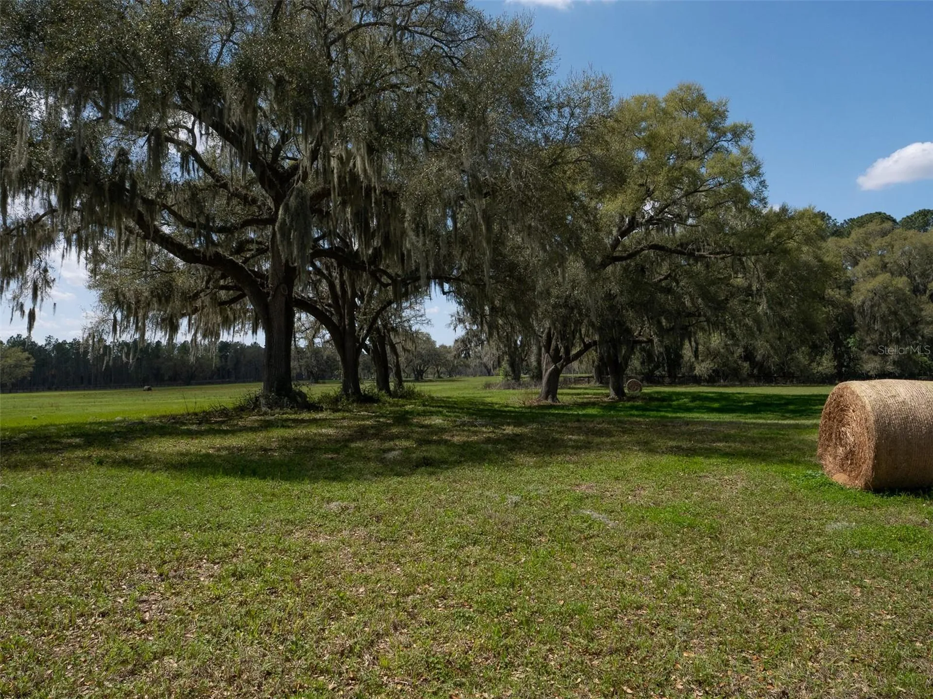 1100 SW 110th Avenue Ocala FL 34481