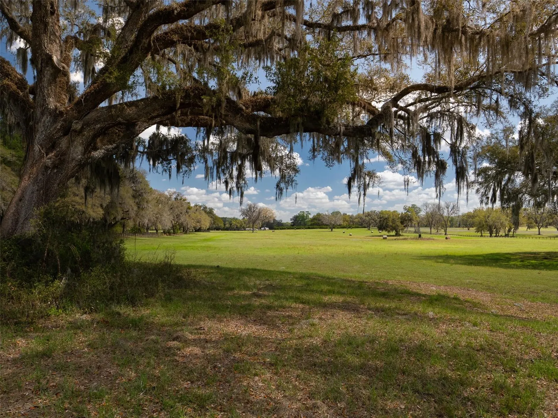 1100 SW 110th Avenue Ocala FL 34481