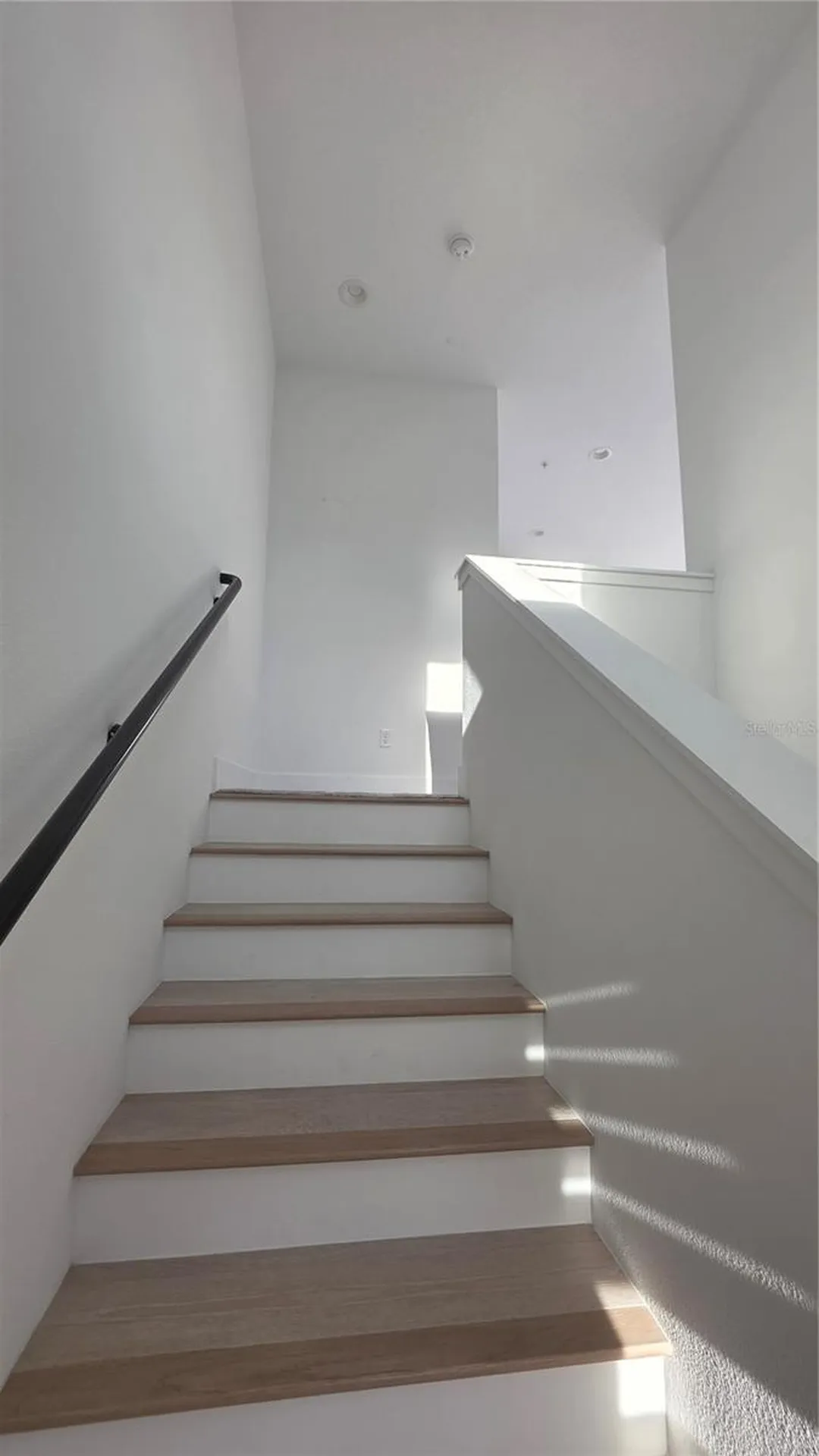 2511 N Grady Avenue Tampa FL 33607