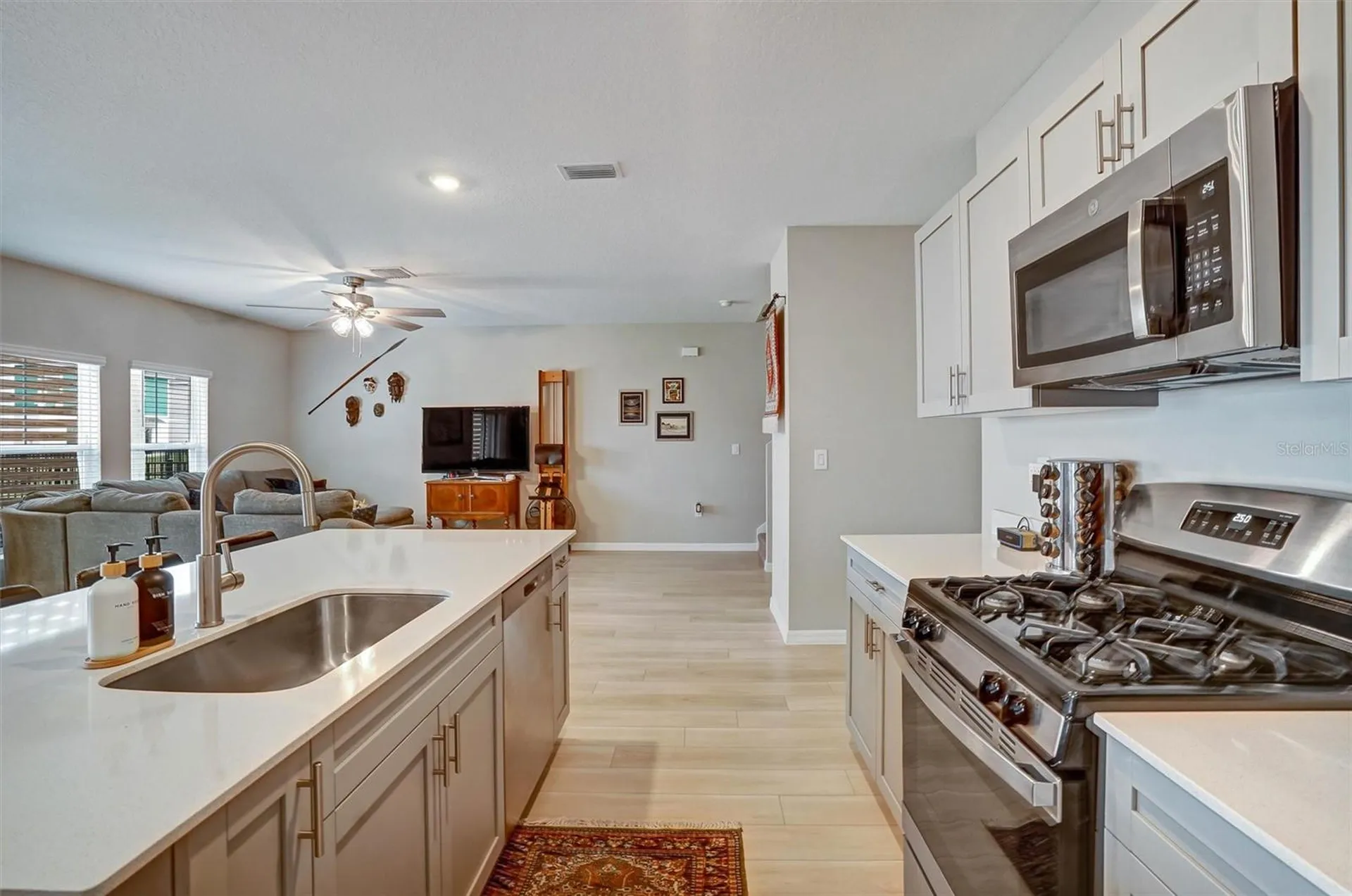 14468 Meadow Bird Avenue Riverview FL 33579