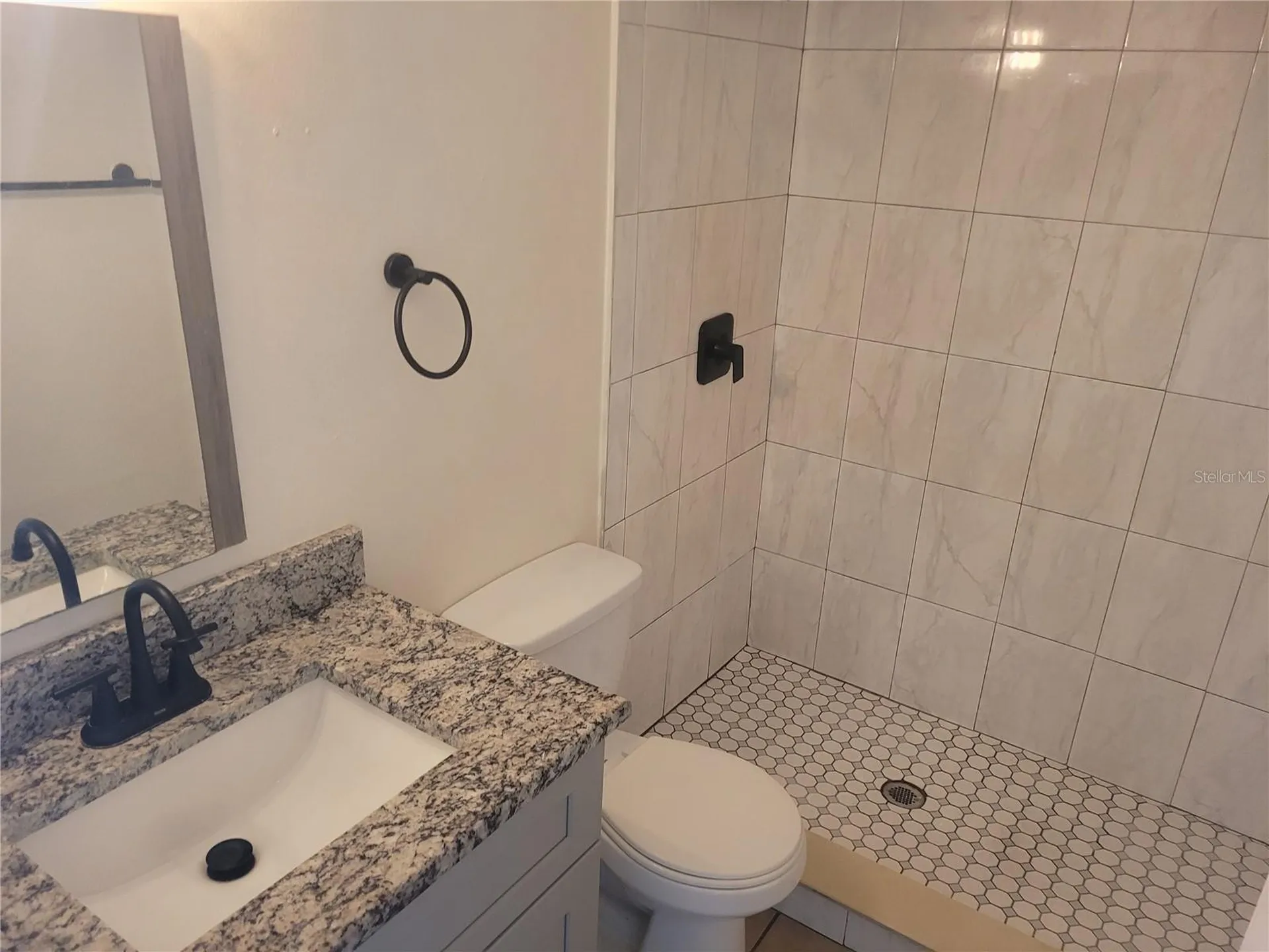 1236 Dovehill Drive Apopka FL 32703