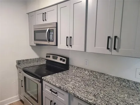 1236 Dovehill Drive Apopka FL 32703