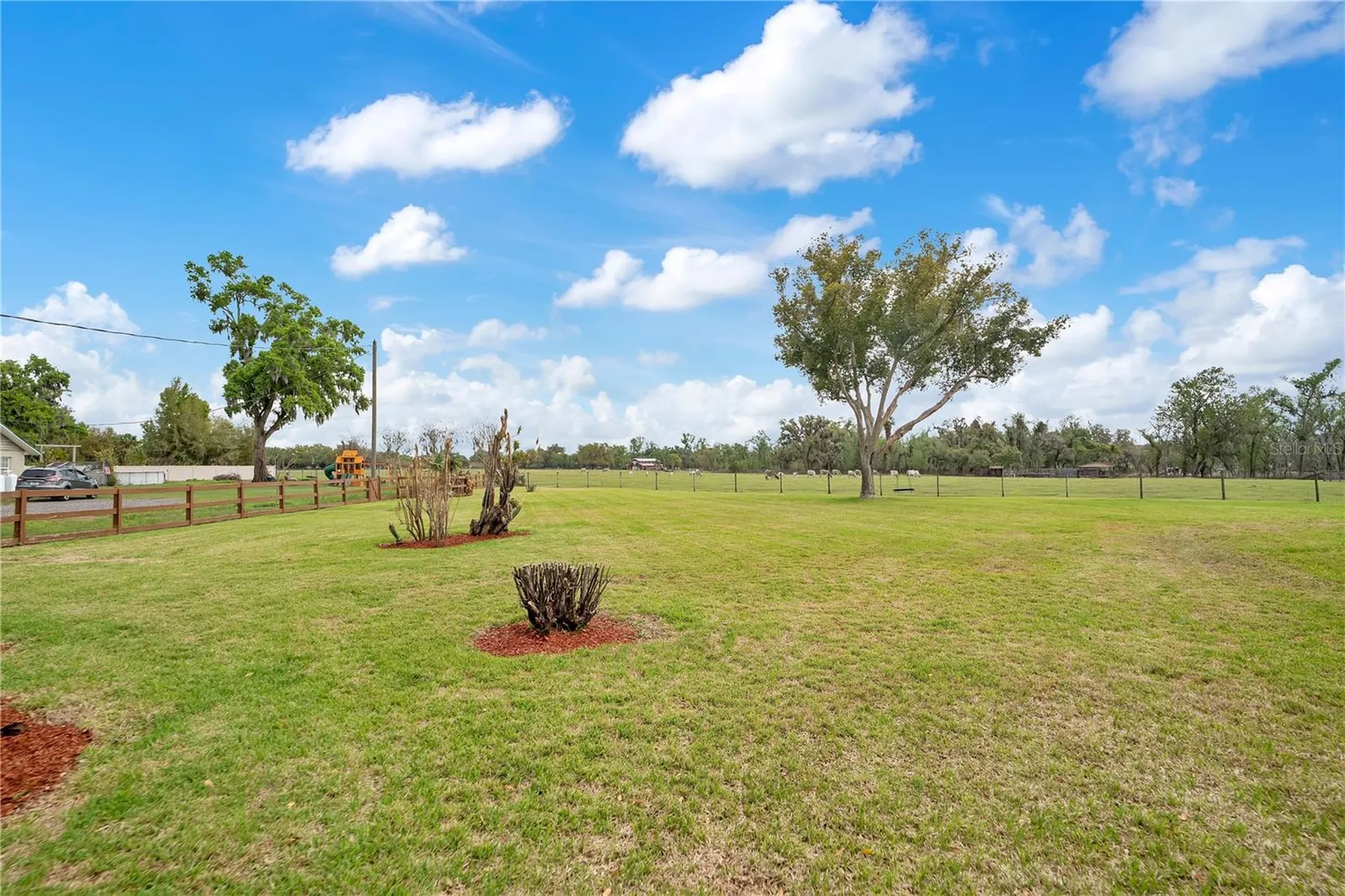 1401 Buell Court Plant City FL 33567