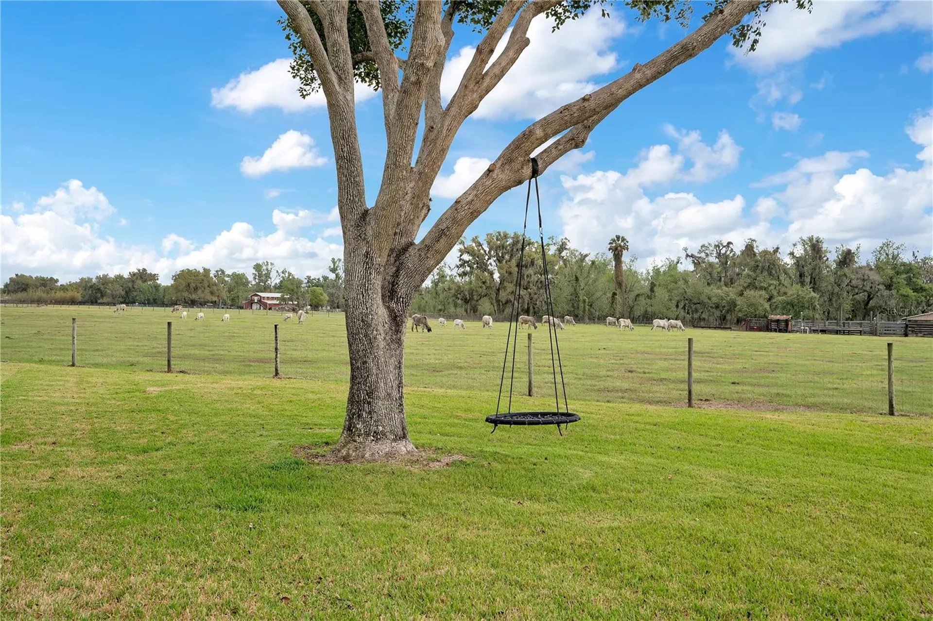1401 Buell Court Plant City FL 33567