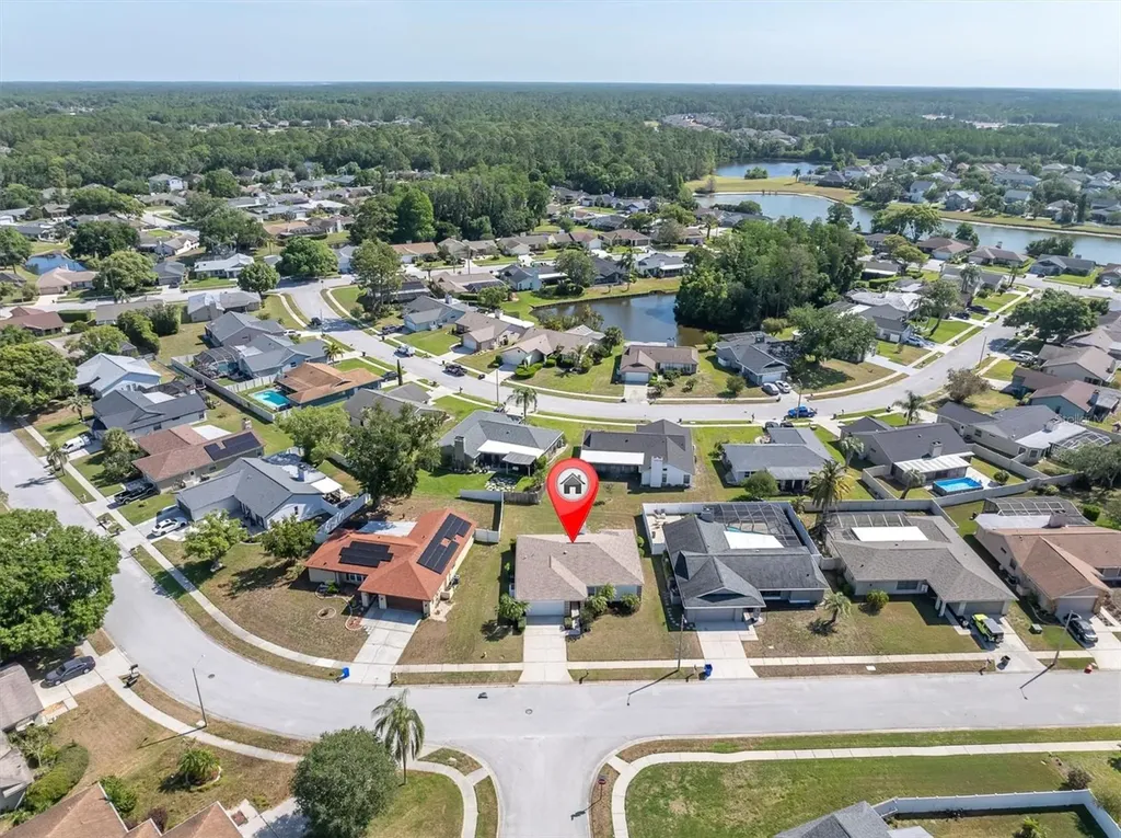 9807 Palmer Drive New Port Richey FL 34655