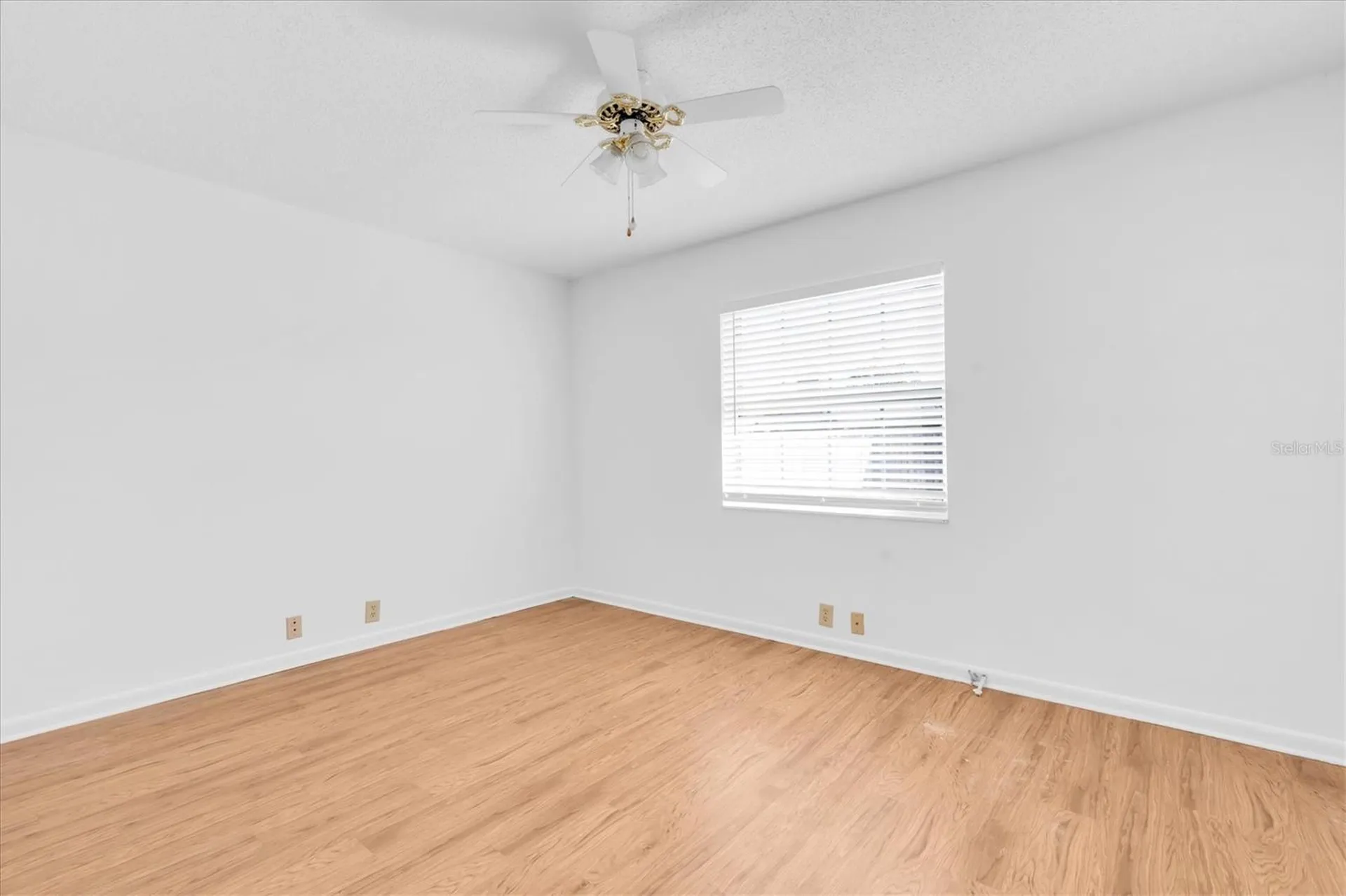 9807 Palmer Drive New Port Richey FL 34655