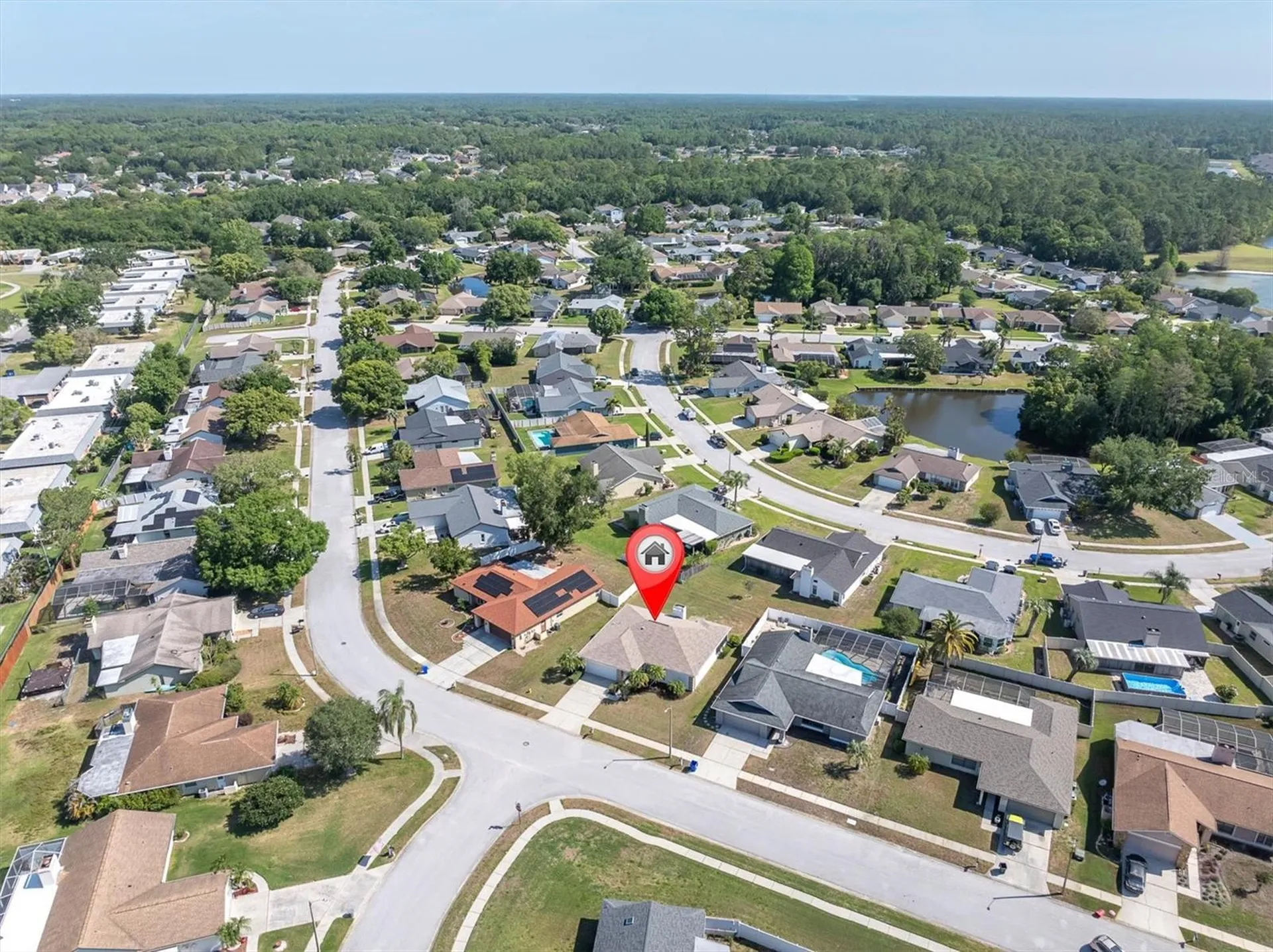 9807 Palmer Drive New Port Richey FL 34655