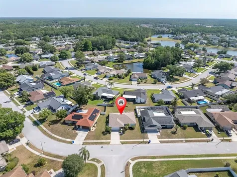 9807 Palmer Drive New Port Richey FL 34655