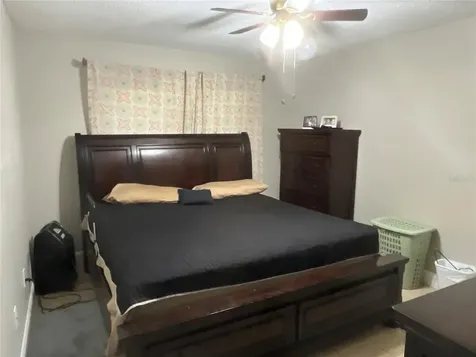 915 Burlwood Street Brandon FL 33511