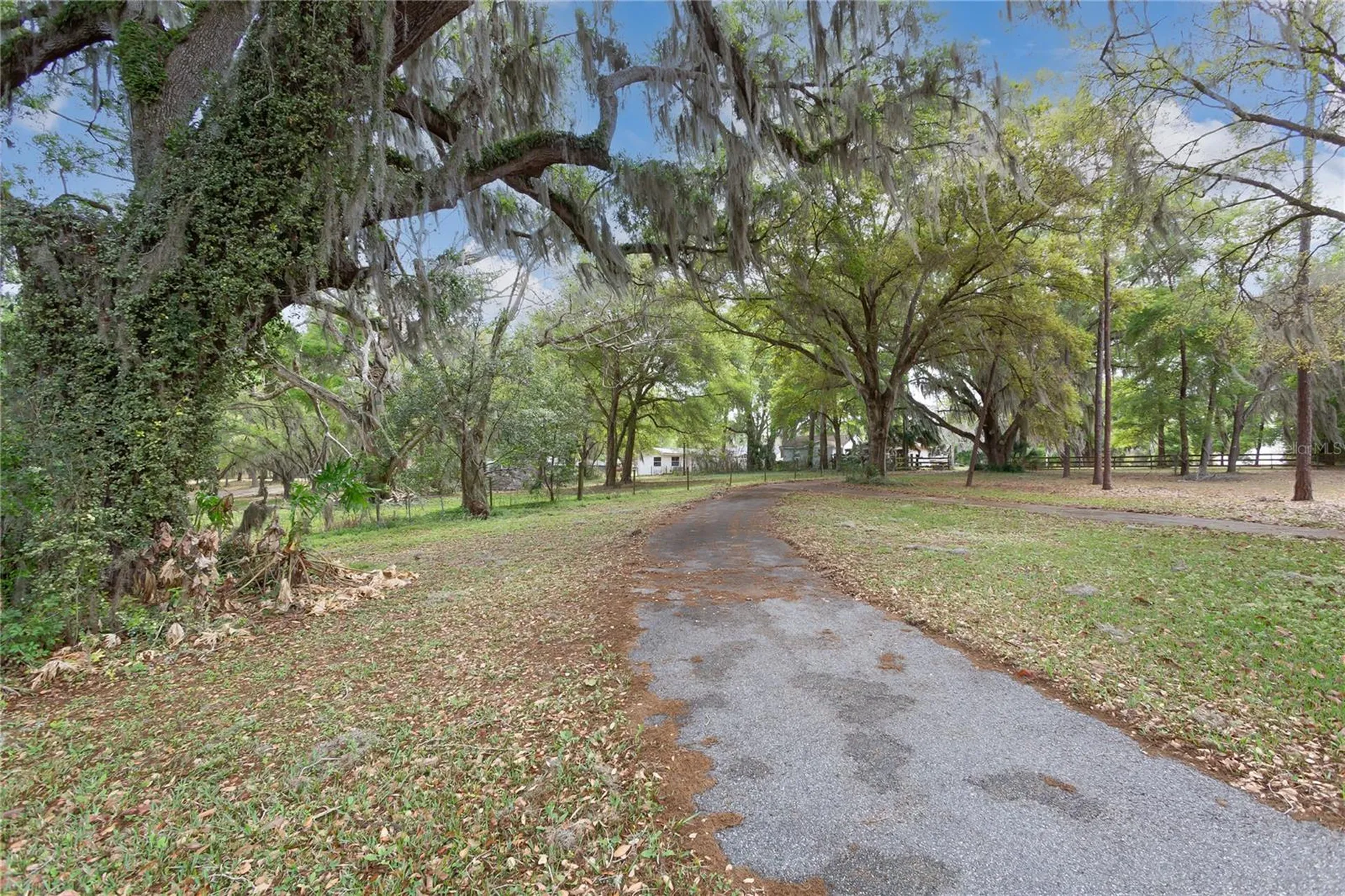 1905 Myrtle Lake Avenue Fruitland Park FL 34731