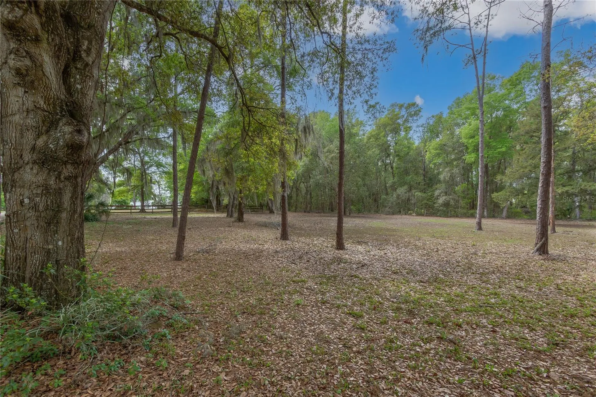 1905 Myrtle Lake Avenue Fruitland Park FL 34731