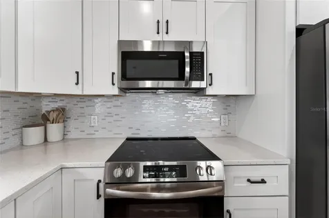 1407 Bloomingdale Trails Boulevard Brandon FL 33511