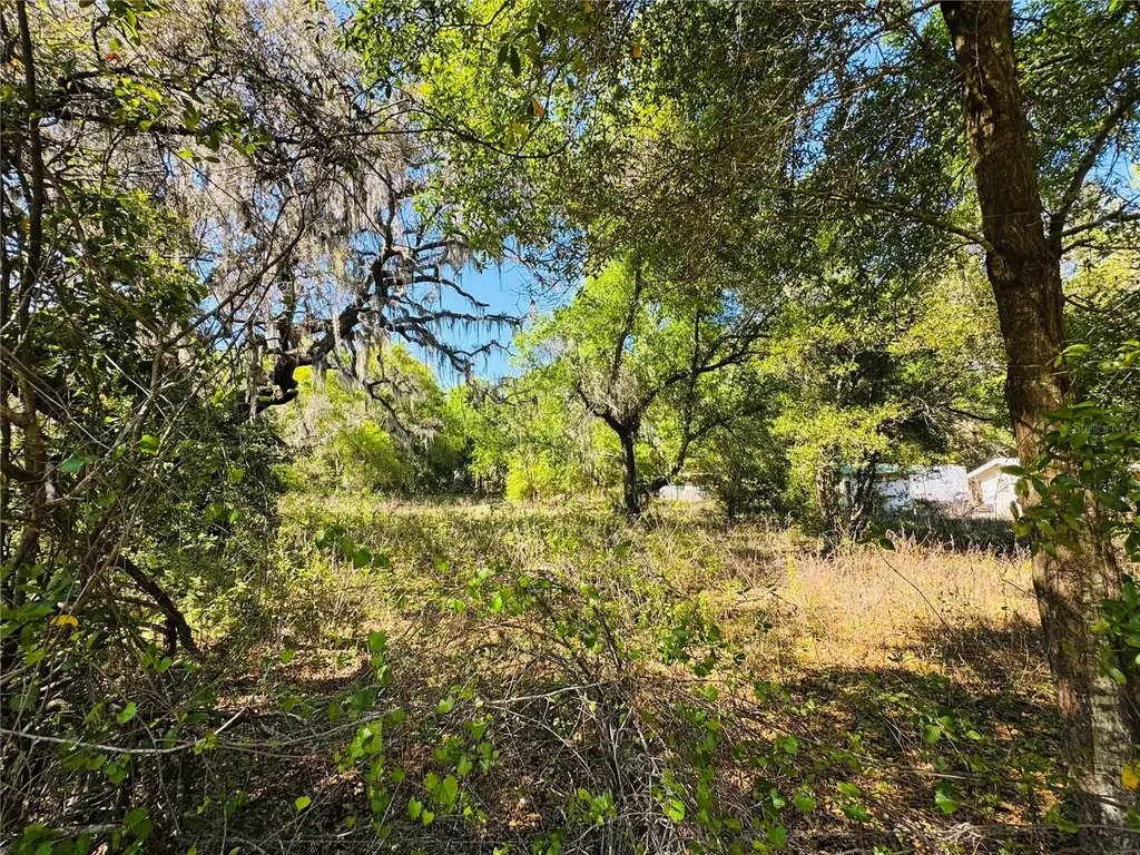 11340 Bessie Dix Road Seffner FL 33584