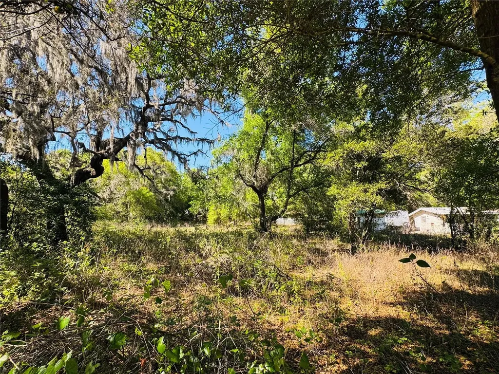 11340 Bessie Dix Road Seffner FL 33584
