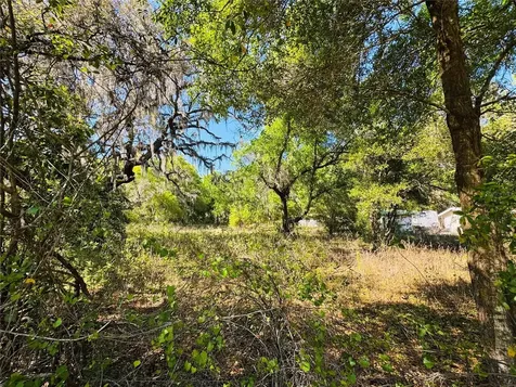 11340 Bessie Dix Road Seffner FL 33584