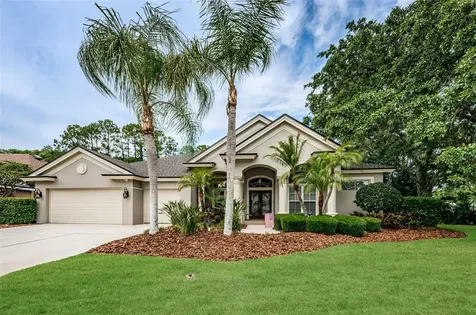 4604 Ayron Terrace Palm Harbor FL 34685