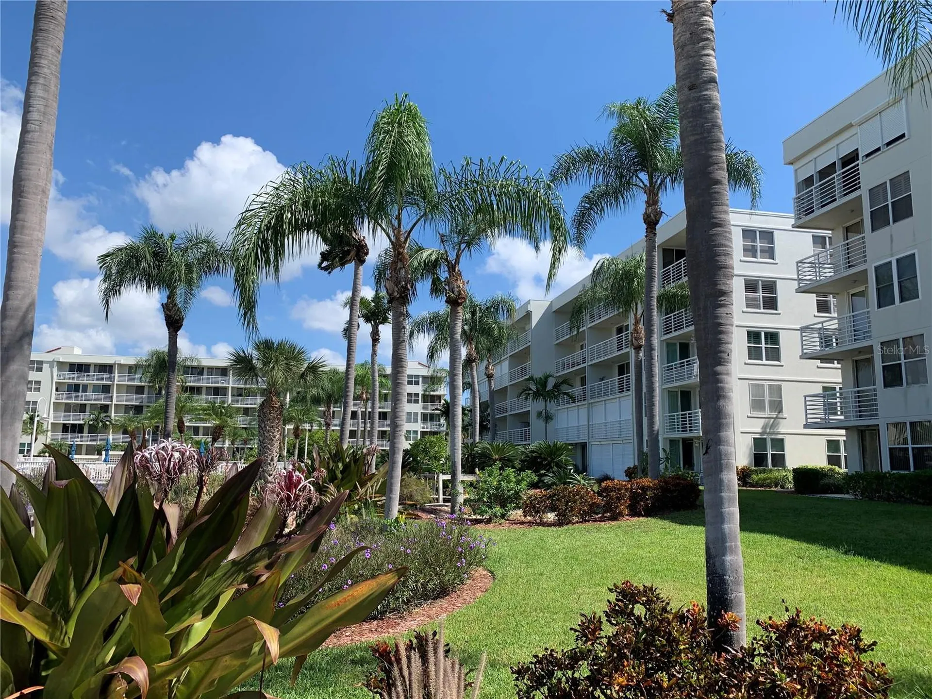 6061 Bahia Del Mar Circle St Petersburg FL 33715
